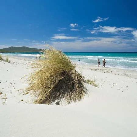 Domos & 4* Porto Pino