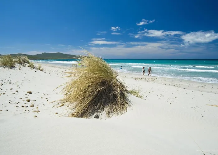 Domos & 4* ポルト・ピノ